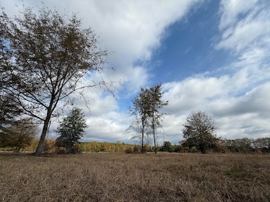 0000 S Carolina 39, Williston, SC 29853 - photo 2