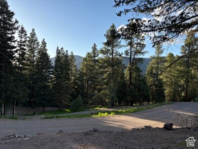 View of road with a forest view