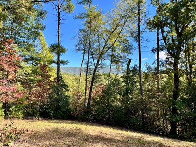 12.64 AC Harrison Sluder Rd, Ellijay, GA 30540 - photo 3