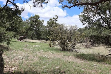 172 Windmill Cir, Datil, NM 87821 - photo 2