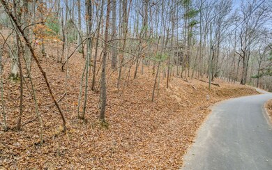 Additional View
