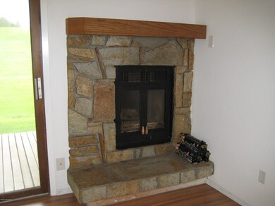 Wood burning fireplace