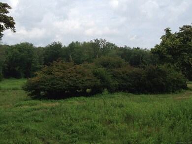 136L Carter St, New Canaan, CT 06840 - photo 5