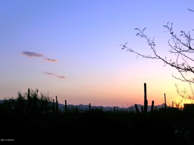 Sunset View