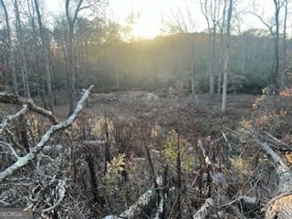 0 Mountain Creek Dr SE unit 10436191, Rome, GA 30161 - photo 4