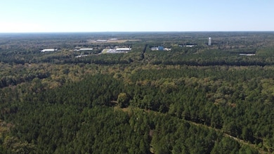 Drifting Dr, Ridgeway, SC 29130 - photo 4