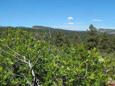 0 Tristan Trail unit 746328, Durango, CO 81301 - photo 3