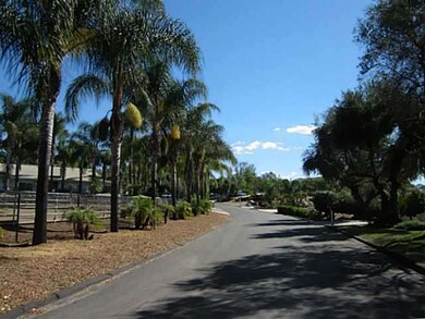 Via Del Torrie...palm lined, tranquil street.