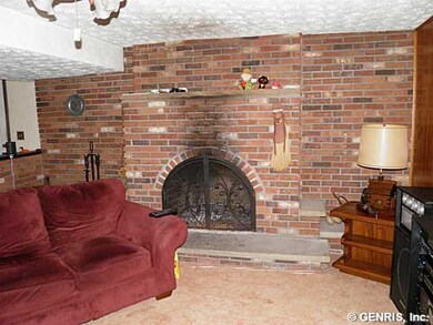 Family Room fireplace in the  lower level