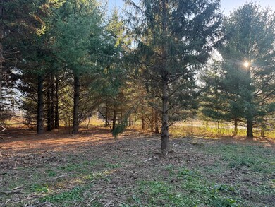 Wooded one acre