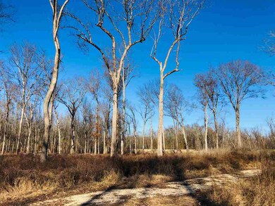 4888 Holly Bluff Rd unit 1, Rolling Fork, MS 39159 - photo 4