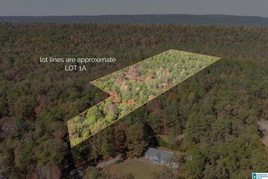 284 Nichols Rd, Chelsea, AL 35043 - photo 4