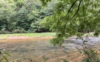 LT813 Lonesdale Ln, Oakman, GA 30732 - photo 3