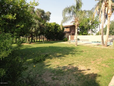 The Lush Backyard!