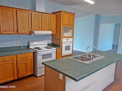 6905 Bateau Pond Rd, Grand Ridge, FL 32442 - photo 5