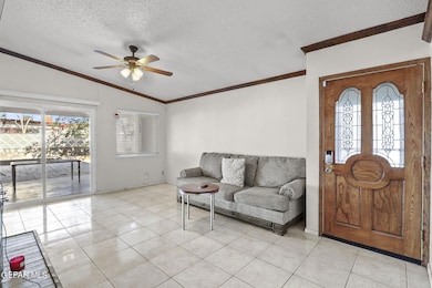 6-web-or-mls-IMG_0697