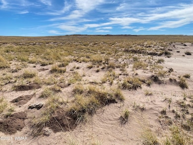 0 N Porter Rd unit 238403, Joseph City, AZ 86032 - photo 2