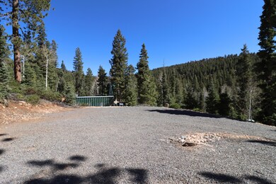 160 Buckhorn Trail, Duck Creek, UT 84762 - photo 6