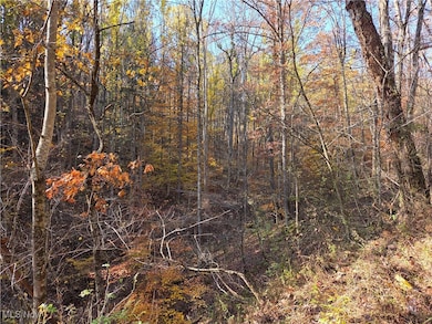 0 Glendale Rd, Highland, WV 26346 - photo 6