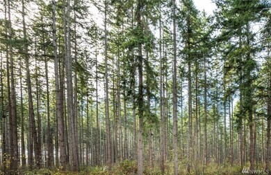 11404 Harris Rd SE, Yelm, WA 98597 - photo 6