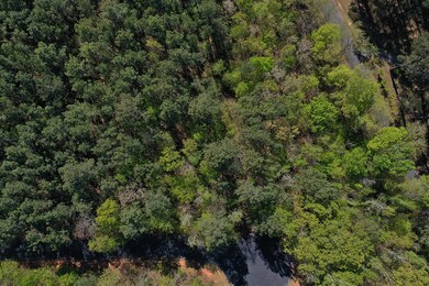 Lot 82 Regimental Ct, Ninety Six, SC 29666 - photo 4