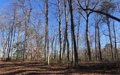 Additional View