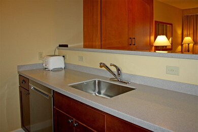 274/276 Qtr I Jackson Gore Inn, Ludlow, VT 05149 - photo 4