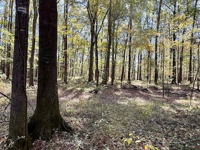 0 Wilson Rd unit 25582294, Pheba, MS 39755 - photo 3