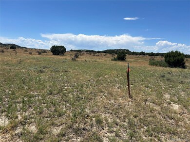 Lot 17 Longhorn Ranch unit 17, Model, CO 81059 - photo 7