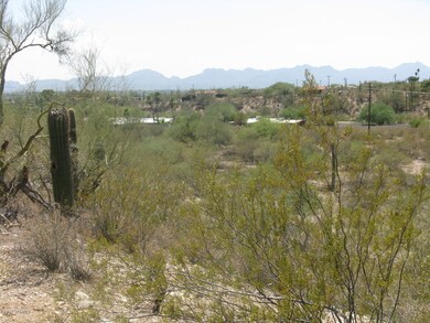 Downtown, UA, Tucson Mountains