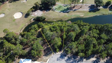 158 Anhinga Trail, Carrabelle, FL 32322 - photo 3