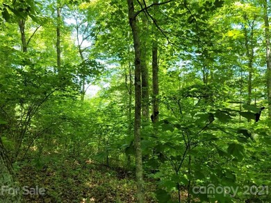 000 Arrowhead Ln unit 13, Burnsville, NC 28714 - photo 3