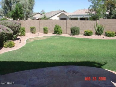 BACK YARD