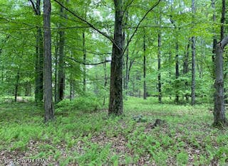 903 W Wadi Rd, Pocono Lake, PA 18347 - photo 5