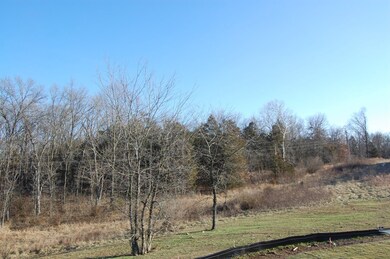 View of Backyard