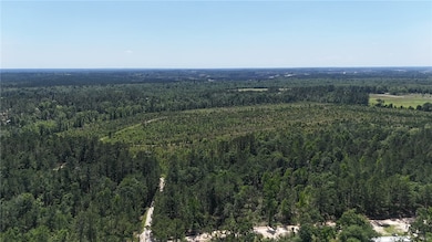 0 Deer Run Rd, Vidalia, GA 30474 - photo 4