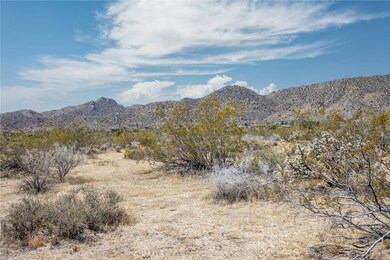 4444 Skyline Dr, Joshua Tree, CA 92252 - photo 5