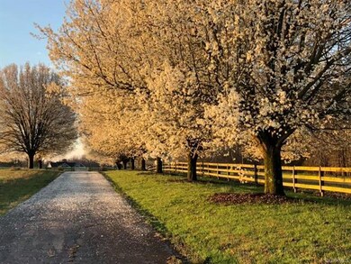 11500 Bevils Bridge Rd, Amelia Court House, VA 23002 - photo 3