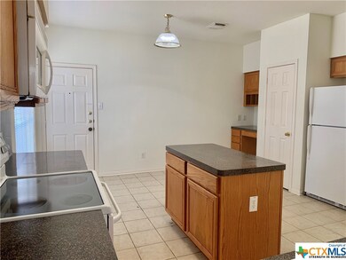 115 Elm Hill Ct, San Marcos, TX 78666 - photo 4