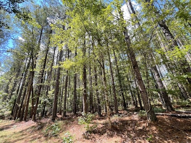 00 Mississippi 7, Grenada, MS 38901 - photo 2