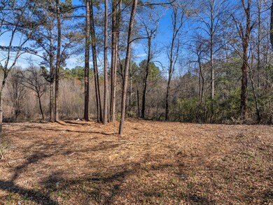 00 W Magnolia Ln, Taylorsville, MS 39168 - photo 5