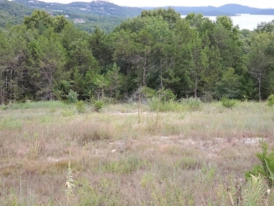 Lot 242 Silver Sunset Ln, Ruth B Rural Township, MO 65686 - photo 7