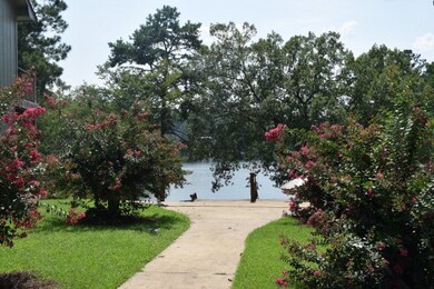 Beautiful View