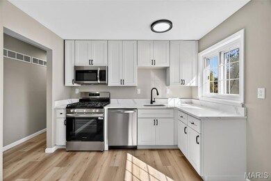 5102 Ville Donna Ln, Hazelwood, MO 63042 - photo 7