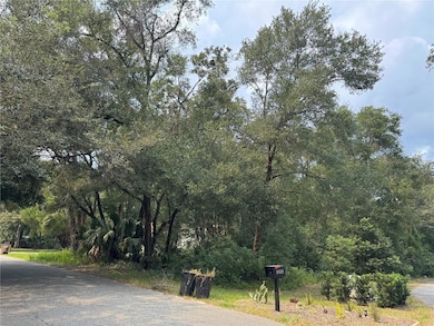 From the right of the lot.