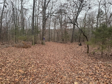 Lot 1 Waterfront 1, Shell Knob, MO 65747 - photo 5