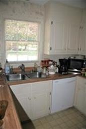 Kitchen view with double sink and dishwasher