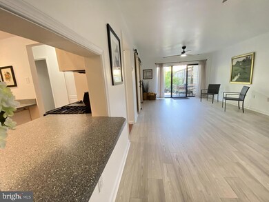 2572 Riva Rd unit 6B, Annapolis, MD 21401 - photo 6