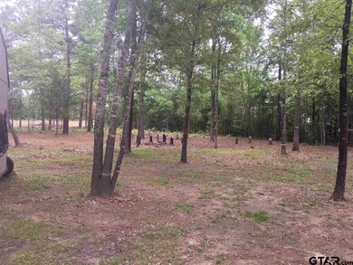 11993 County Road 2264, Arp, TX 75750 - photo 5