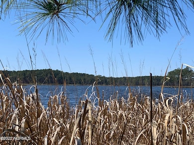 24 Bailey Pointe Rd, Belhaven, NC 27810 - photo 3